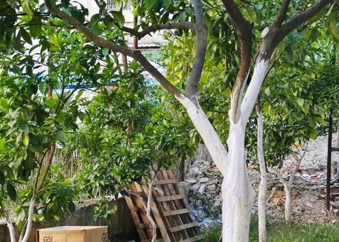 Affittacamere Mecani Gjirokastër