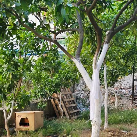 Pensión Mecani Gjirokastër